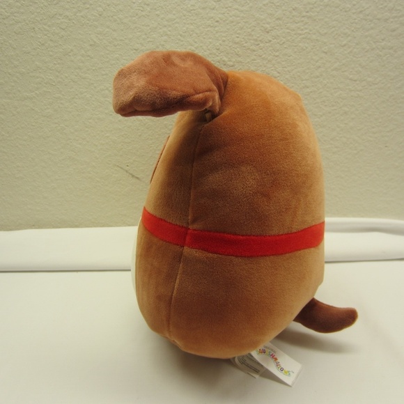 Squishmallows 8" Sassafras the Saint Bernard PLUSH DOG‎ High 9'' - Picture 3 of 14